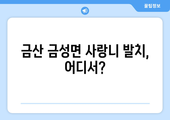 충청남도 금산군 금성면 사랑니 치과 매복 발치 잘하는 곳 비용 | 후기 | 추천