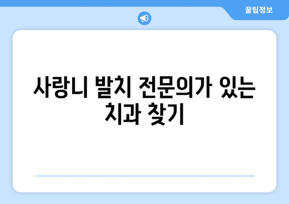 충청남도 부여군 홍산면 사랑니 치과 매복 발치 잘하는 곳 비용 | 후기 | 추천