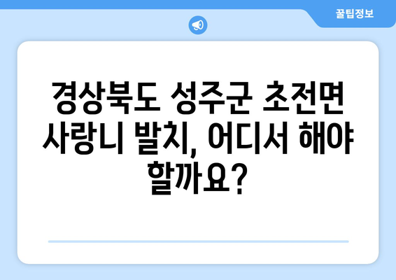 경상북도 성주군 초전면 사랑니 치과 매복 발치 잘하는 곳 비용 | 후기 | 추천