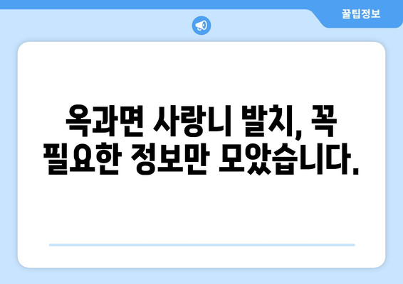 전라남도 곡성군 옥과면 사랑니 치과 매복 발치 잘하는 곳 비용 | 후기 | 추천