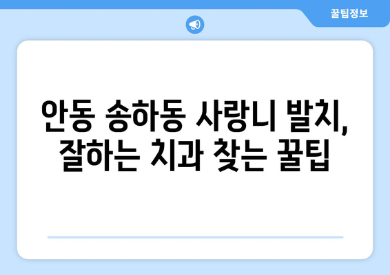 경상북도 안동시 송하동 사랑니 치과 매복 발치 잘하는 곳 비용 | 후기 | 추천