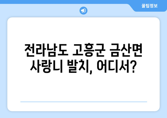 전라남도 고흥군 금산면 사랑니 치과 매복 발치 잘하는 곳 비용 | 후기 | 추천