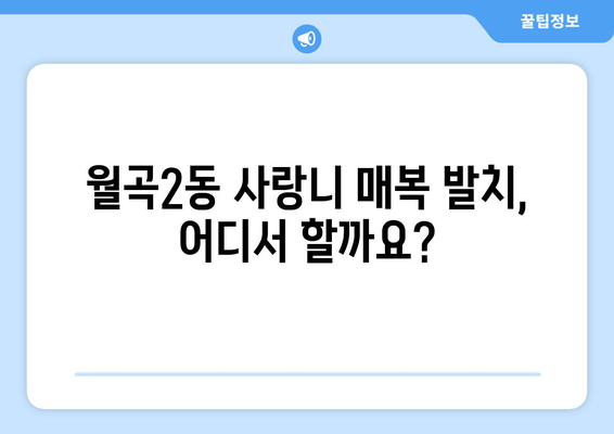 광주시 광산구 월곡2동 사랑니 치과 매복 발치 잘하는 곳 비용 | 후기 | 추천