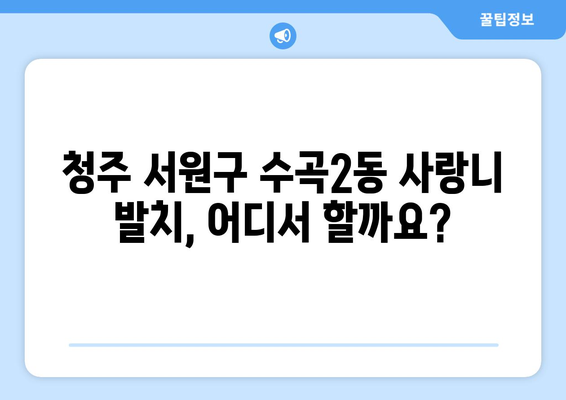 충청북도 청주시 서원구 수곡2동 사랑니 치과 매복 발치 잘하는 곳 비용 | 후기 | 추천