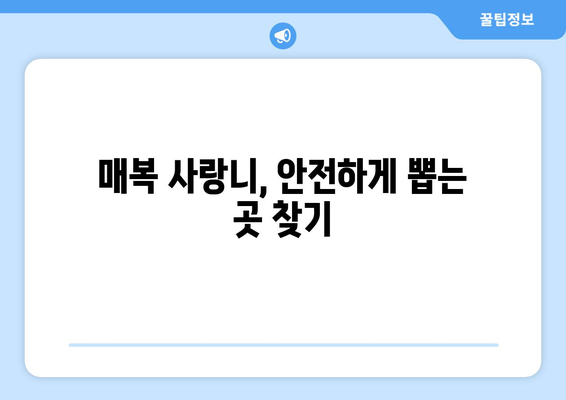 대전시 유성구 온천2동 사랑니 치과 매복 발치 잘하는 곳 비용 | 후기 | 추천