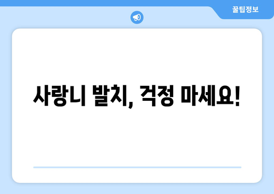 강원도 인제군 인제읍 사랑니 치과 매복 발치 잘하는 곳 비용 | 후기 | 추천