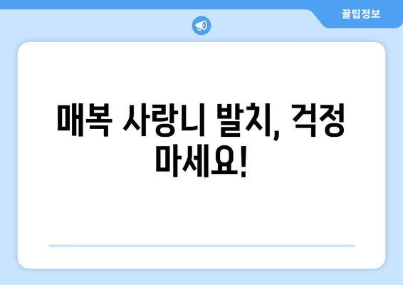 경상남도 거창군 웅양면 사랑니 치과 매복 발치 잘하는 곳 비용 | 후기 | 추천