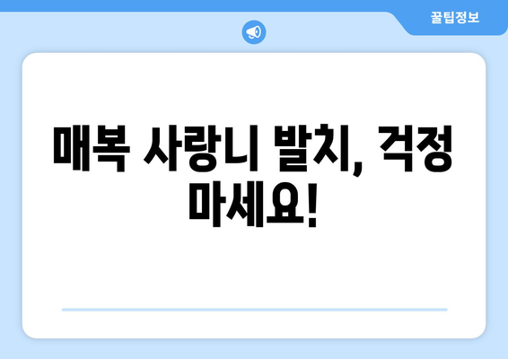 경기도 의정부시 의정부1동 사랑니 치과 매복 발치 잘하는 곳 비용 | 후기 | 추천