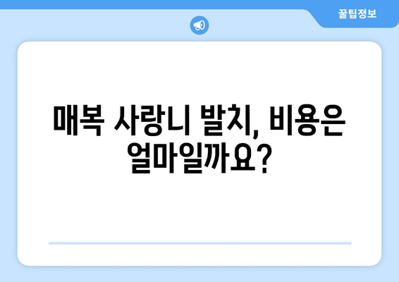 충청북도 영동군 상촌면 사랑니 치과 매복 발치 잘하는 곳 비용 | 후기 | 추천