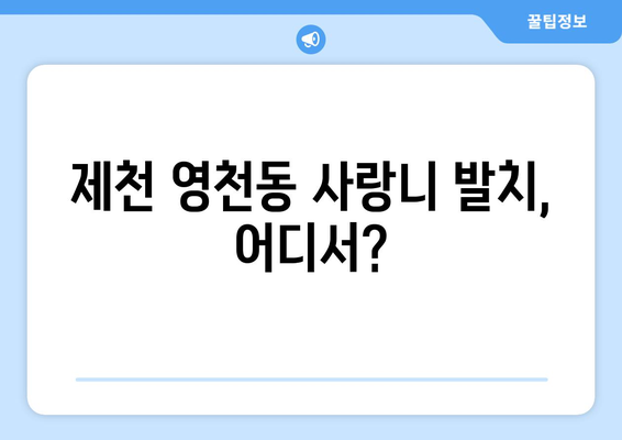 충청북도 제천시 영천동 사랑니 치과 매복 발치 잘하는 곳 비용 | 후기 | 추천