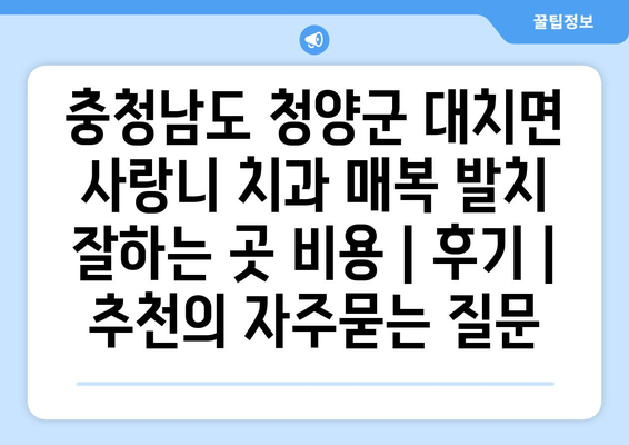 충청남도 청양군 대치면 사랑니 치과 매복 발치 잘하는 곳 비용 | 후기 | 추천
