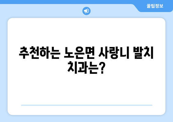 충청북도 충주시 노은면 사랑니 치과 매복 발치 잘하는 곳 비용 | 후기 | 추천