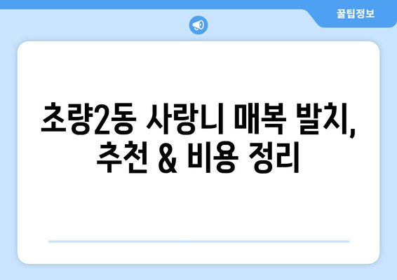 부산시 동구 초량2동 사랑니 치과 매복 발치 잘하는 곳 비용 | 후기 | 추천