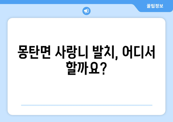 전라남도 무안군 몽탄면 사랑니 치과 매복 발치 잘하는 곳 비용 | 후기 | 추천