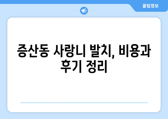 서울시 은평구 증산동 사랑니 치과 매복 발치 잘하는 곳 비용 | 후기 | 추천