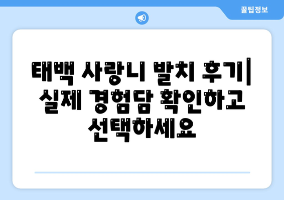 강원도 태백시 구문소동 사랑니 치과 매복 발치 잘하는 곳 비용 | 후기 | 추천