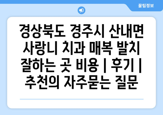 경상북도 경주시 산내면 사랑니 치과 매복 발치 잘하는 곳 비용 | 후기 | 추천