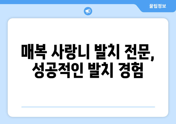제주도 서귀포시 동홍동 사랑니 치과 매복 발치 잘하는 곳 비용 | 후기 | 추천
