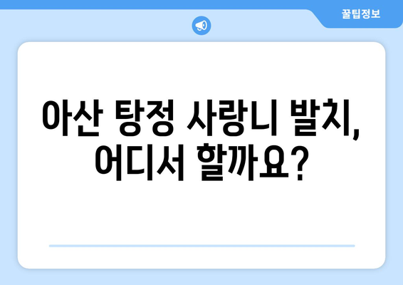 충청남도 아산시 탕정면 사랑니 치과 매복 발치 잘하는 곳 비용 | 후기 | 추천