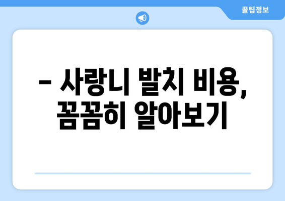 충청남도 홍성군 장곡면 사랑니 치과 매복 발치 잘하는 곳 비용 | 후기 | 추천