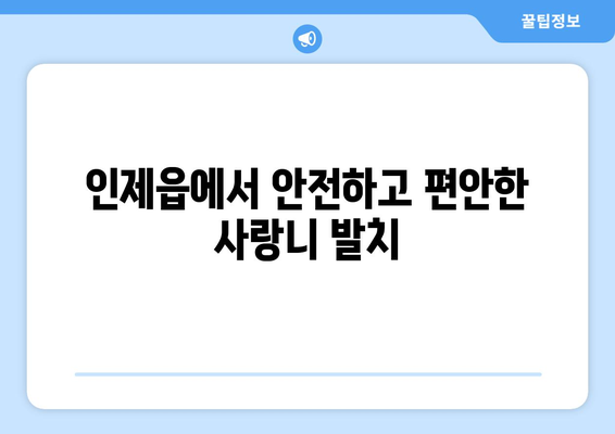 강원도 인제군 인제읍 사랑니 치과 매복 발치 잘하는 곳 비용 | 후기 | 추천