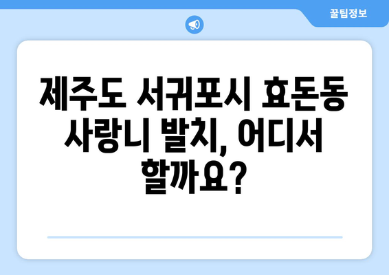 제주도 서귀포시 효돈동 사랑니 치과 매복 발치 잘하는 곳 비용 | 후기 | 추천
