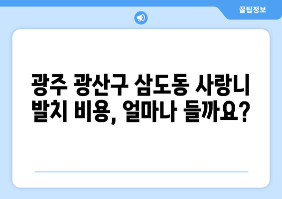 광주시 광산구 삼도동 사랑니 치과 매복 발치 잘하는 곳 비용 | 후기 | 추천