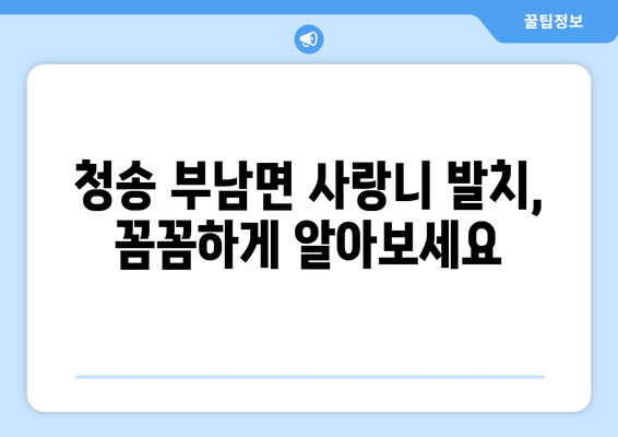경상북도 청송군 부남면 사랑니 치과 매복 발치 잘하는 곳 비용 | 후기 | 추천