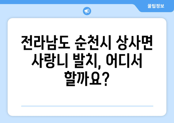 전라남도 순천시 상사면 사랑니 치과 매복 발치 잘하는 곳 비용 | 후기 | 추천
