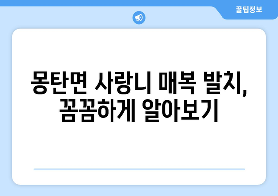 전라남도 무안군 몽탄면 사랑니 치과 매복 발치 잘하는 곳 비용 | 후기 | 추천