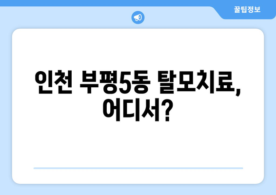 인천시 부평구 부평5동 모바일식 탈모치료 잘하는곳 두피관리 추천 베스트 헤어라인 정수리 비용 후기