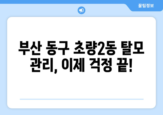 부산시 동구 초량2동 모바일식 탈모치료 잘하는곳 두피관리 추천 베스트 헤어라인 정수리 비용 후기
