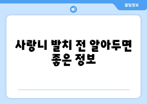 충청남도 당진시 합덕읍 사랑니 치과 매복 발치 잘하는 곳 비용 | 후기 | 추천