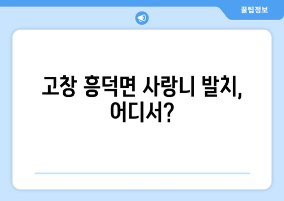 전라북도 고창군 흥덕면 사랑니 치과 매복 발치 잘하는 곳 비용 | 후기 | 추천