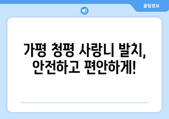 경기도 가평군 청평면 사랑니 치과 매복 발치 잘하는 곳 비용 | 후기 | 추천