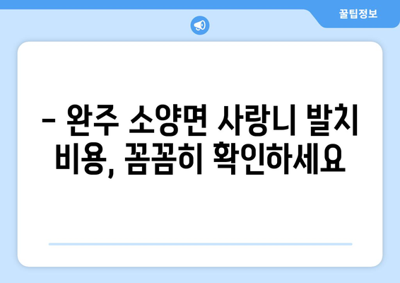 전라북도 완주군 소양면 사랑니 치과 매복 발치 잘하는 곳 비용 | 후기 | 추천