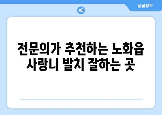 전라남도 완도군 노화읍 사랑니 치과 매복 발치 잘하는 곳 비용 | 후기 | 추천