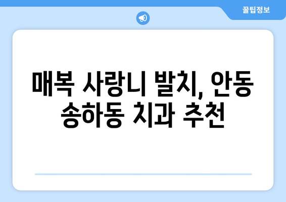 경상북도 안동시 송하동 사랑니 치과 매복 발치 잘하는 곳 비용 | 후기 | 추천