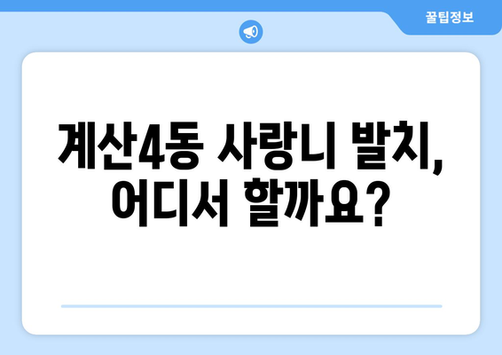 인천시 계양구 계산4동 사랑니 치과 매복 발치 잘하는 곳 비용 | 후기 | 추천