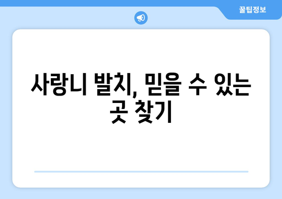 충청남도 청양군 목면 사랑니 치과 매복 발치 잘하는 곳 비용 | 후기 | 추천