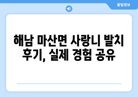 전라남도 해남군 마산면 사랑니 치과 매복 발치 잘하는 곳 비용 | 후기 | 추천