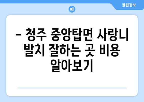 충청북도 청주시 청원구 중앙탑면 사랑니 치과 매복 발치 잘하는 곳 비용 | 후기 | 추천