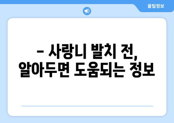 경상북도 고령군 우곡면 사랑니 치과 매복 발치 잘하는 곳 비용 | 후기 | 추천