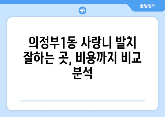 경기도 의정부시 의정부1동 사랑니 치과 매복 발치 잘하는 곳 비용 | 후기 | 추천