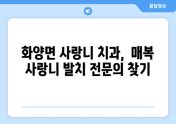 전라남도 여수시 화양면 사랑니 치과 매복 발치 잘하는 곳 비용 | 후기 | 추천