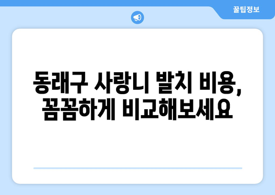 부산시 동래구 명륜동 사랑니 치과 매복 발치 잘하는 곳 비용 | 후기 | 추천