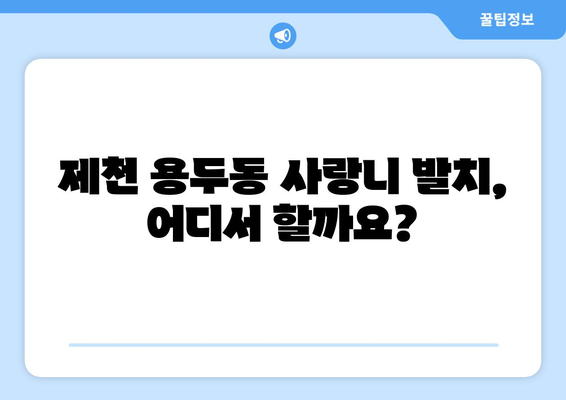 충청북도 제천시 용두동 사랑니 치과 매복 발치 잘하는 곳 비용 | 후기 | 추천