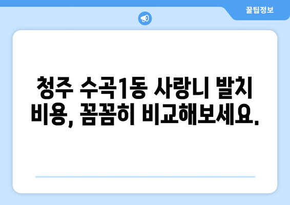 충청북도 청주시 서원구 수곡1동 사랑니 치과 매복 발치 잘하는 곳 비용 | 후기 | 추천