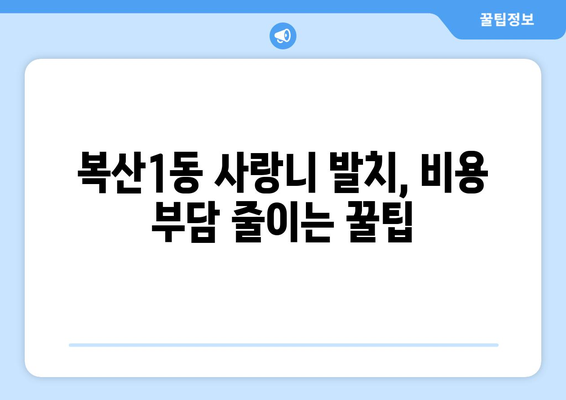 울산시 중구 복산1동 사랑니 치과 매복 발치 잘하는 곳 비용 | 후기 | 추천