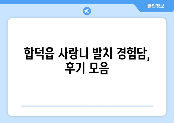 충청남도 당진시 합덕읍 사랑니 치과 매복 발치 잘하는 곳 비용 | 후기 | 추천